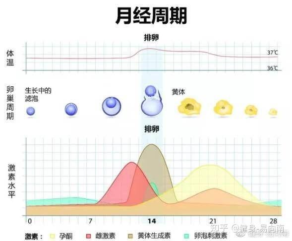 每个月经期提前正常吗？解读月经周期与生理健康