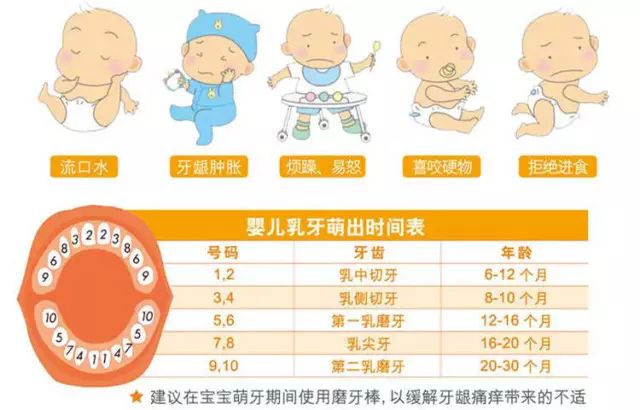 五个月的宝宝可以吃磨牙棒吗？关于婴儿口腔健康与辅食选择的探讨