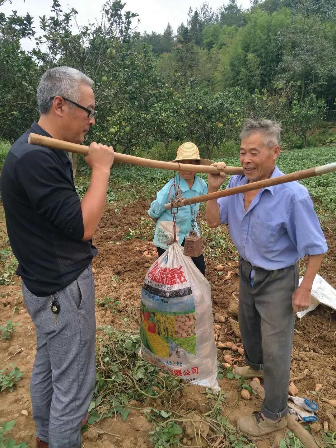 广东塑源有限公司，引领塑料行业的先锋力量