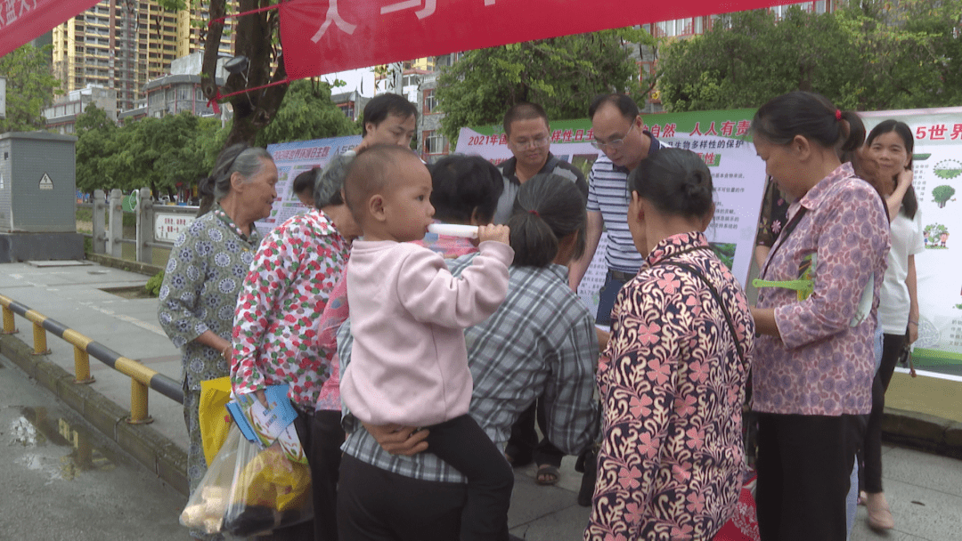 八个月宝宝眯眼，一种可能的状况与应对策略