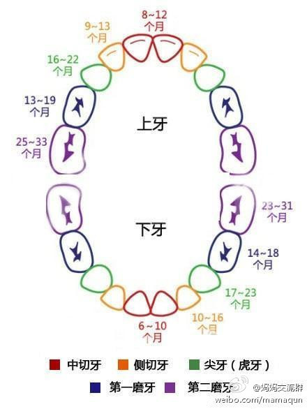 关于11个月宝宝上乳牙发黄的原因分析及应对建议