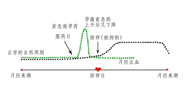 避孕药与月经周期，提前半个月的月经现象解析