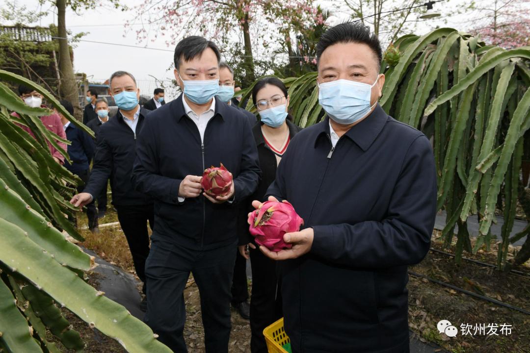 新澳精选资料免费提供|全面贯彻解释落实