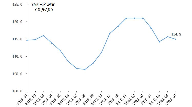 广东省今日生猪市场行情分析